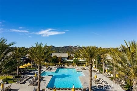 view of swimming pool with a patio area