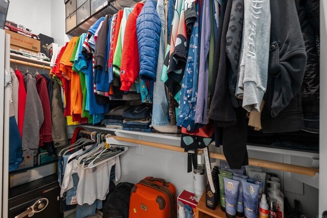 view of spacious closet