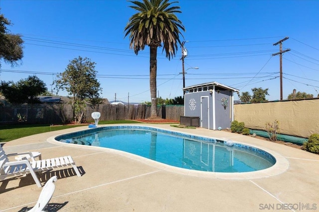 view of pool featuring a patio area and a storage shed