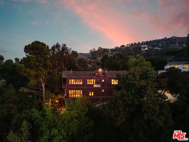 view of back house at dusk