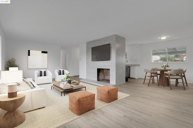 living room featuring a premium fireplace and light hardwood / wood-style floors