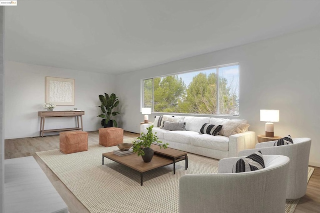 living room with light hardwood / wood-style flooring