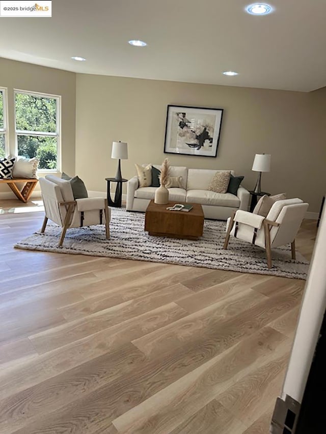 living room featuring light wood-type flooring