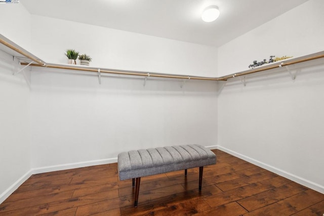 walk in closet with dark wood-type flooring