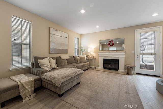 living room with hardwood / wood-style flooring and plenty of natural light