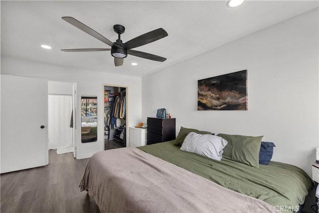 bedroom with ceiling fan, dark hardwood / wood-style floors, a closet, and a spacious closet