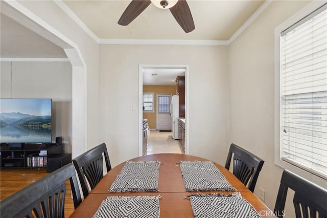 dining area with ornamental molding and ceiling fan