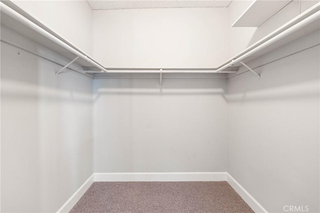 spacious closet with carpet flooring