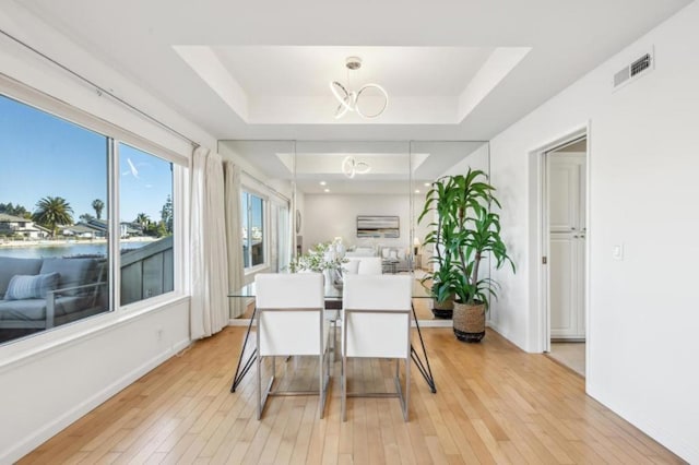 dining space with light hardwood / wood-style floors and a raised ceiling