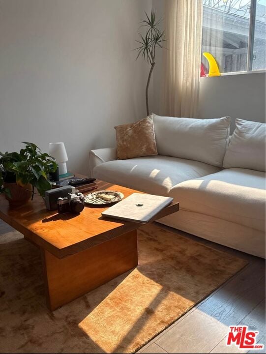 living room featuring hardwood / wood-style floors