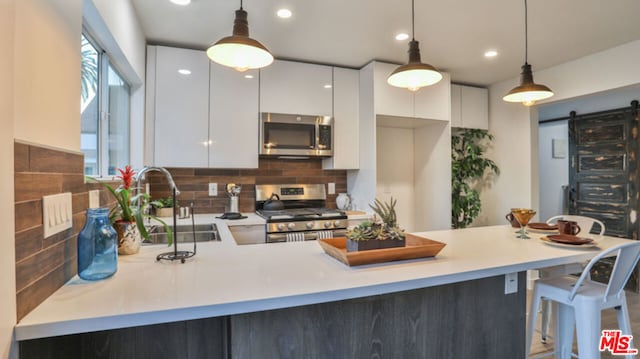 kitchen featuring sink, appliances with stainless steel finishes, white cabinetry, hanging light fixtures, and a barn door