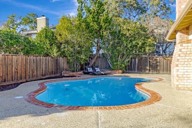 view of pool featuring a patio area