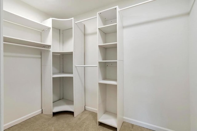 walk in closet with light colored carpet