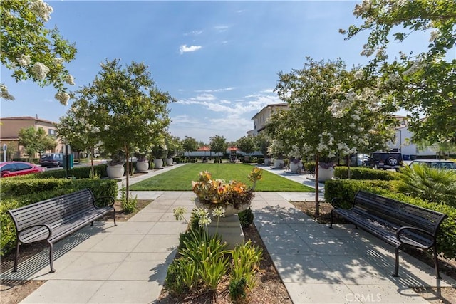 view of property's community featuring a yard