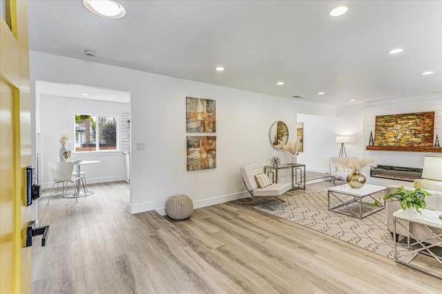 living room featuring light hardwood / wood-style flooring