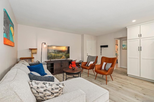 living room featuring light hardwood / wood-style floors