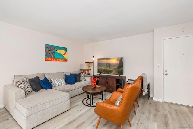 living room with light hardwood / wood-style flooring