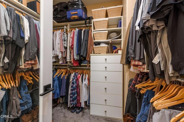 spacious closet with carpet