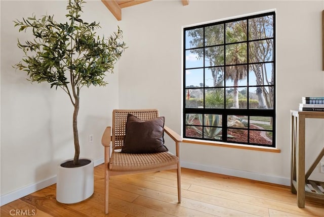 living area with light hardwood / wood-style floors