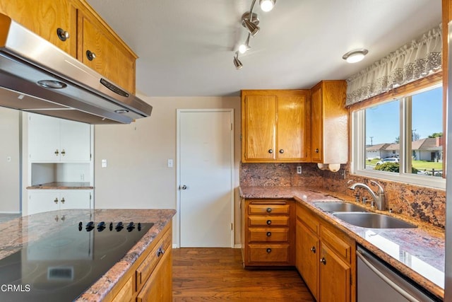 kitchen featuring brown cabinetry, a sink, black electric cooktop, and range hood