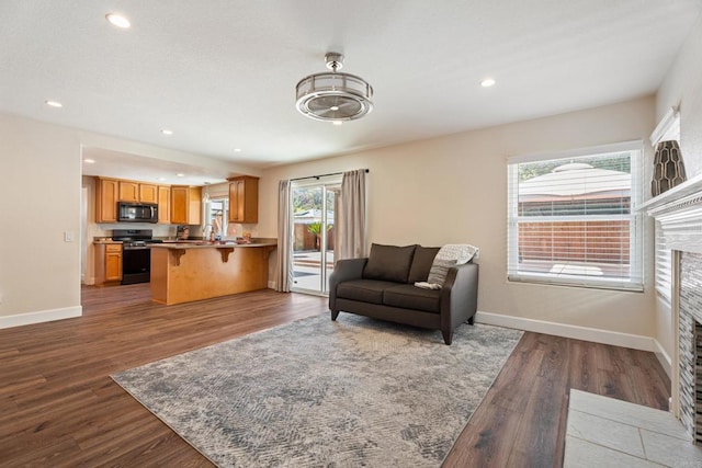 living room featuring dark wood-type flooring and sink