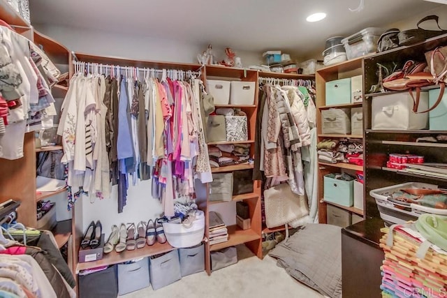 view of spacious closet