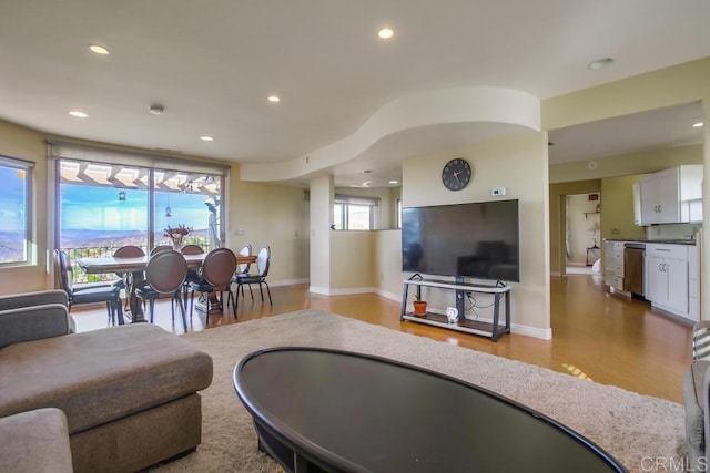 living room featuring wood-type flooring