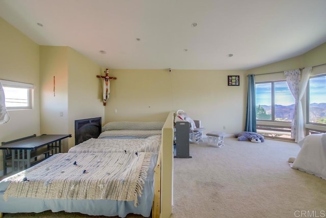 bedroom with carpet flooring