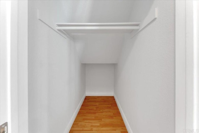 spacious closet featuring light wood-type flooring