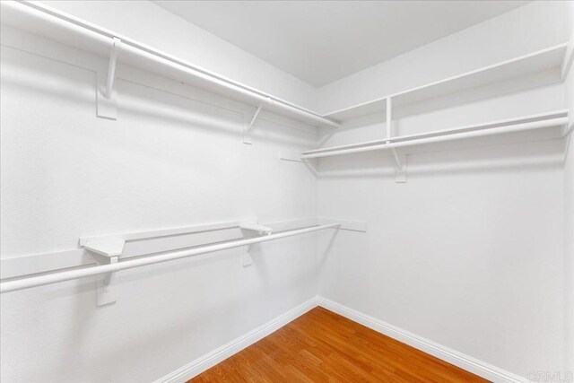 spacious closet with wood-type flooring