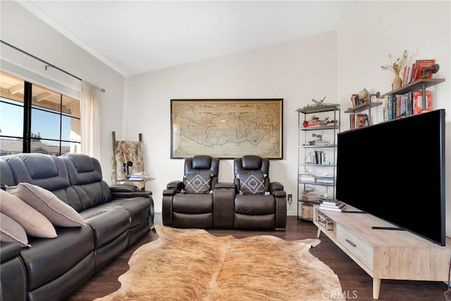 living room featuring lofted ceiling and dark wood-type flooring