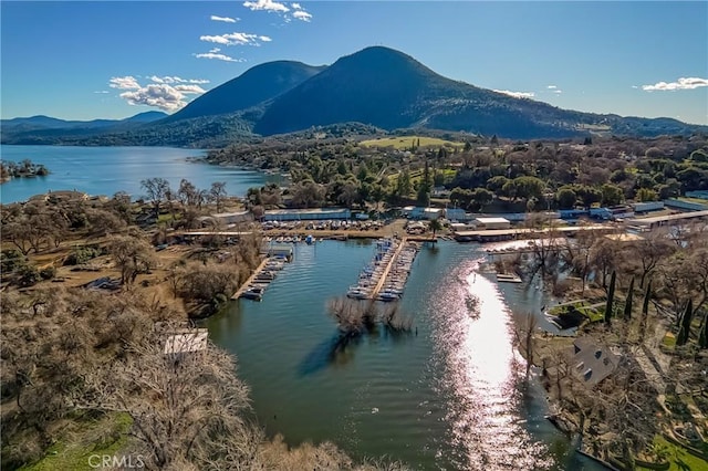 1895 Eastlake, Kelseyville, CA 95451 - photo 35