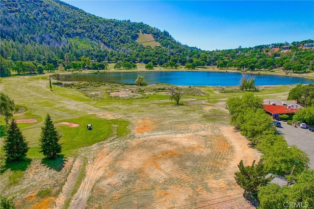 1895 Eastlake, Kelseyville, CA 95451 - photo 48