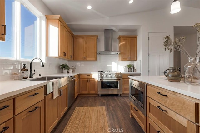 kitchen with tasteful backsplash, sink, stainless steel appliances, dark wood-type flooring, and wall chimney range hood