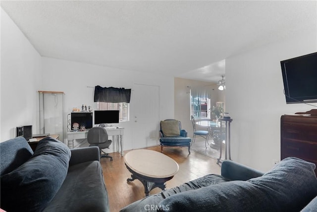 living room with hardwood / wood-style flooring and a wealth of natural light