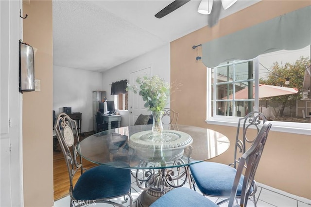 dining space with a wealth of natural light, ceiling fan, and light hardwood / wood-style floors