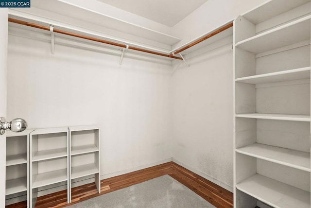 spacious closet with wood-type flooring