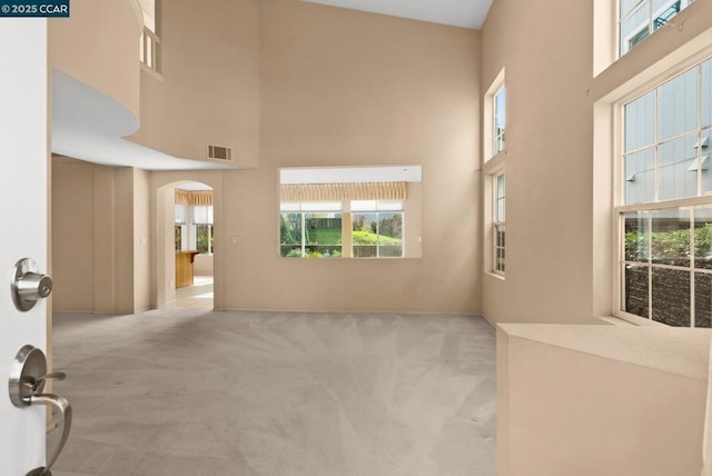 carpeted spare room with a towering ceiling