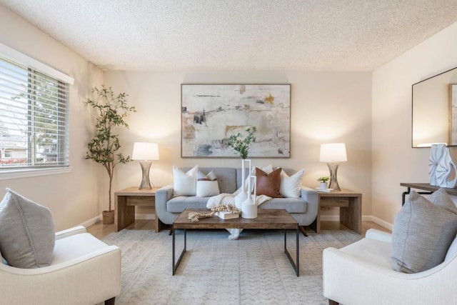 living area with light hardwood / wood-style flooring and a textured ceiling