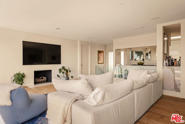 living room with hardwood / wood-style flooring