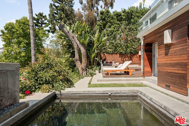 view of yard with a patio area