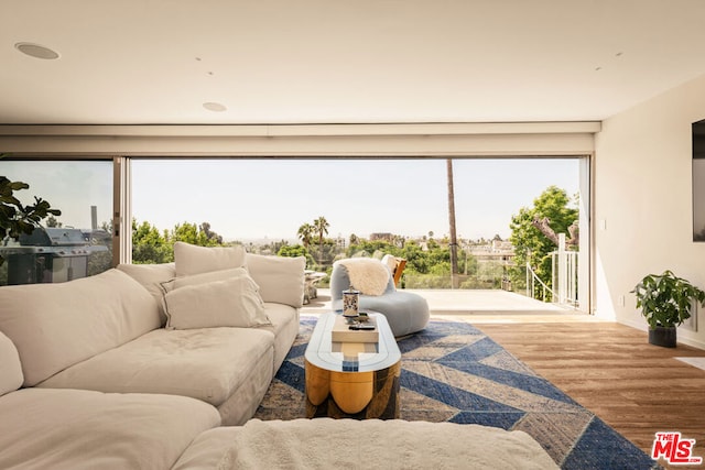 living room featuring hardwood / wood-style flooring