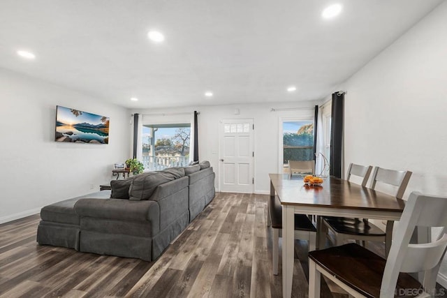 living room featuring dark hardwood / wood-style flooring