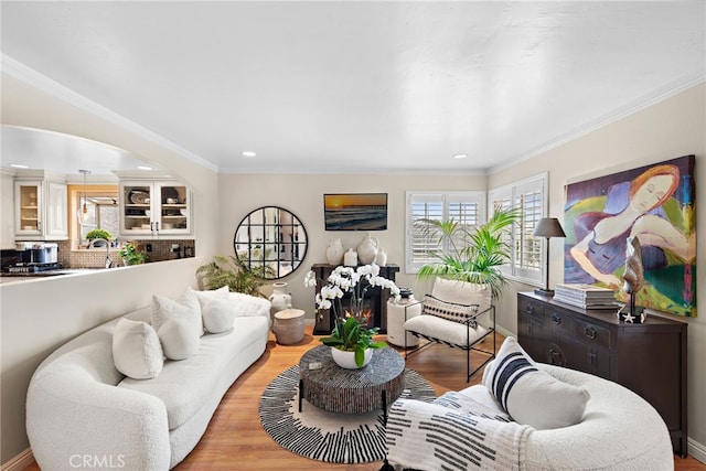 living room featuring crown molding and light hardwood / wood-style floors