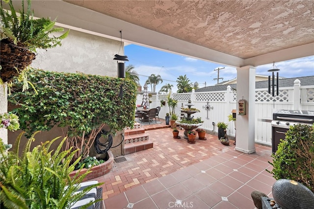 view of patio / terrace with a grill