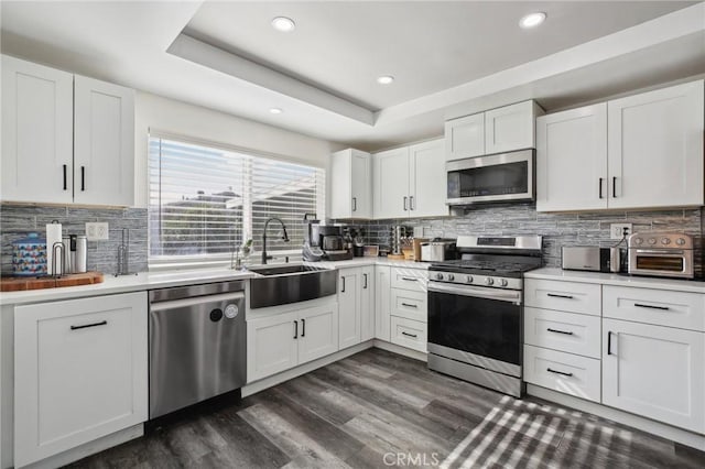 kitchen featuring white cabinetry, stainless steel appliances, a tray ceiling, and sink