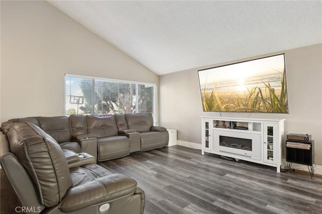 living room featuring lofted ceiling and dark hardwood / wood-style floors