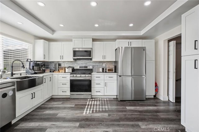 kitchen featuring sink, appliances with stainless steel finishes, white cabinetry, dark hardwood / wood-style flooring, and a raised ceiling