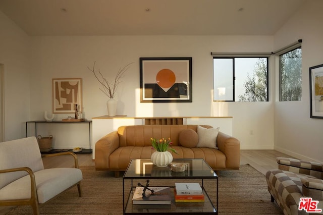 living room with hardwood / wood-style flooring