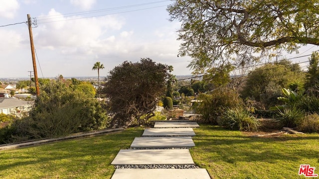 view of home's community with a lawn